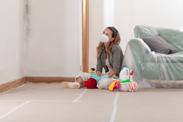 Reliable Mold Cleanup contractor in Oakton, VA by Cheap Mold Removal